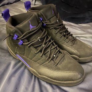 air Jordan 12 dark concord